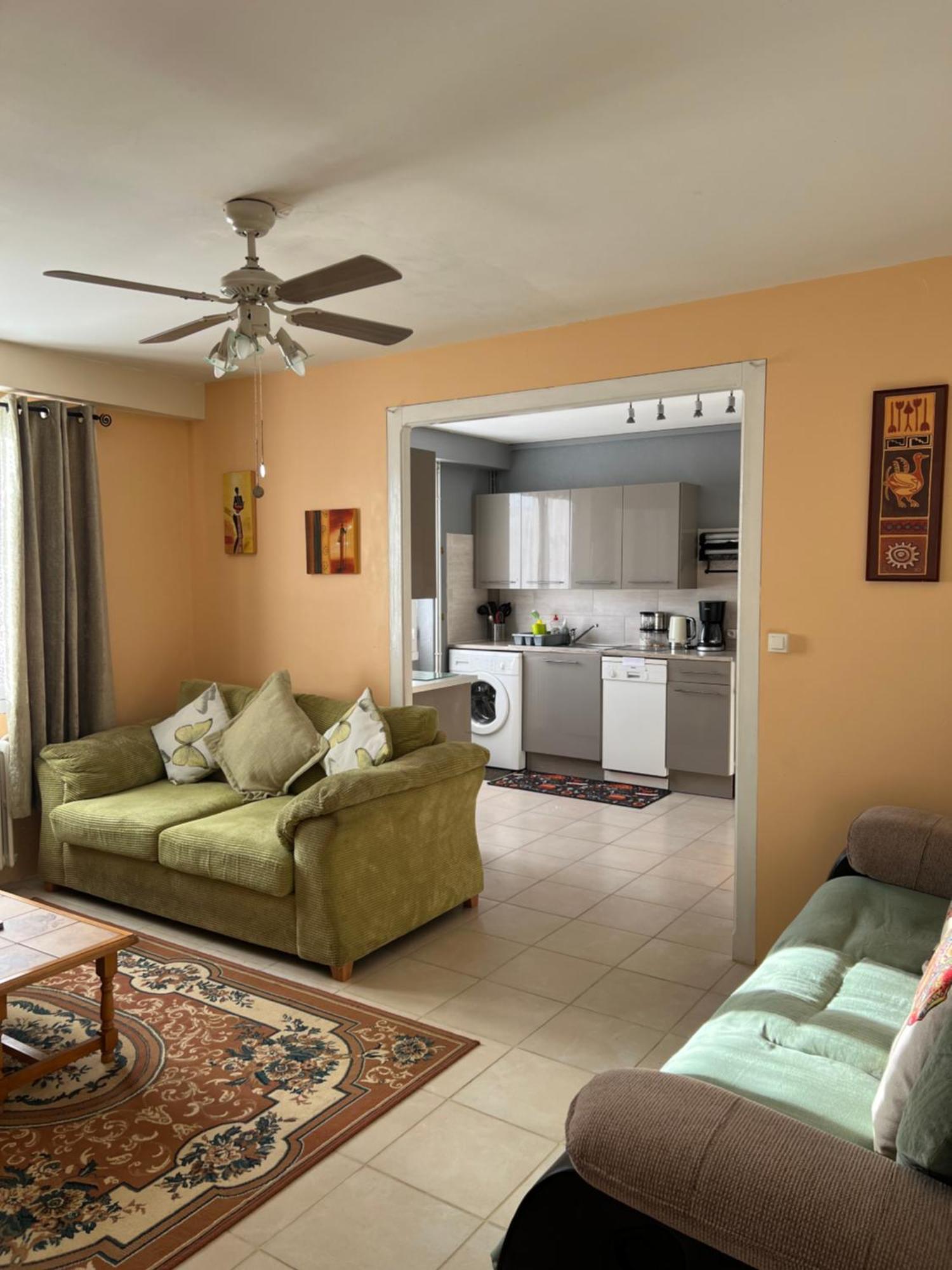 Gite Du St Martin Appartement Oradour-Fanais Buitenkant foto