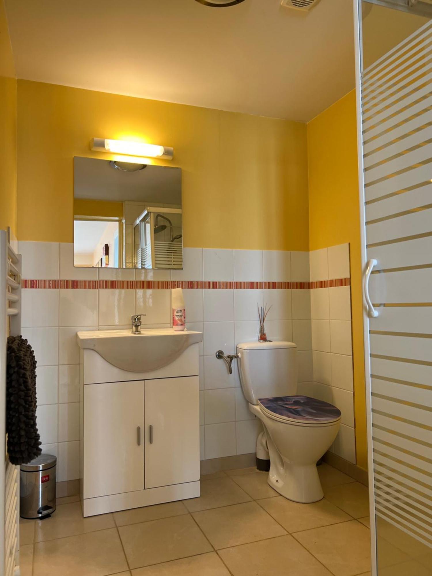 Gite Du St Martin Appartement Oradour-Fanais Buitenkant foto